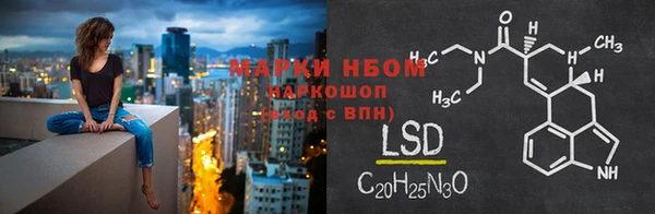 сатива Липки