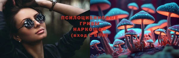 сатива Липки