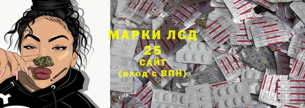 сатива Липки