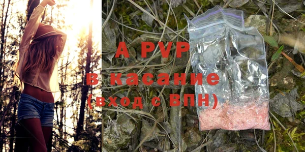 сатива Липки