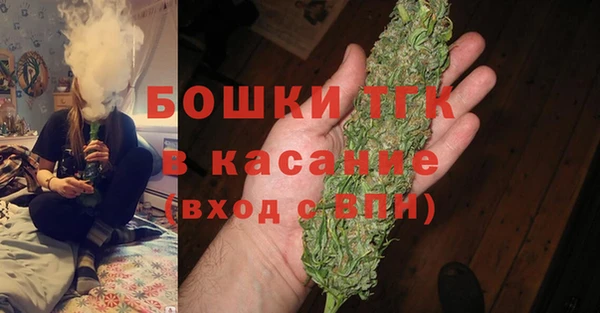 сатива Липки