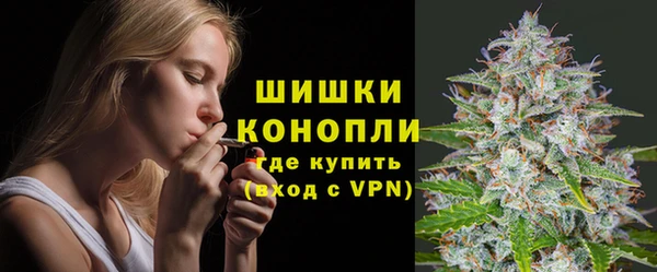 сатива Липки