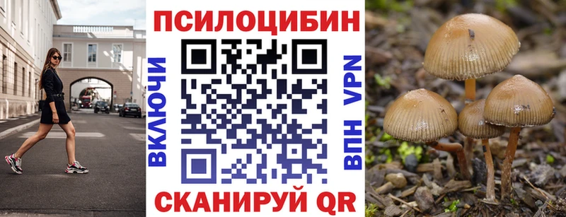 Галлюциногенные грибы Psilocybe Купить где Динская